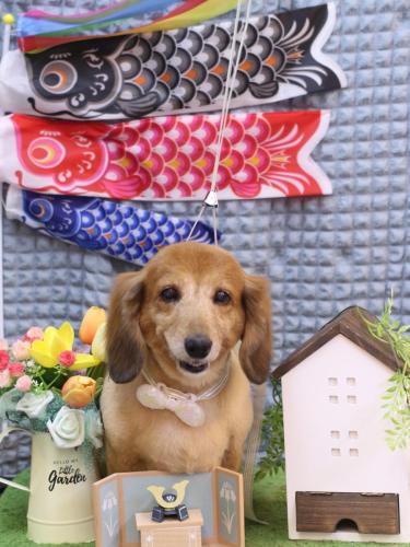 20230524ティアラちゃん